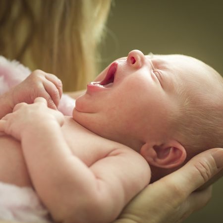 补抵抗力的红薯丸子  