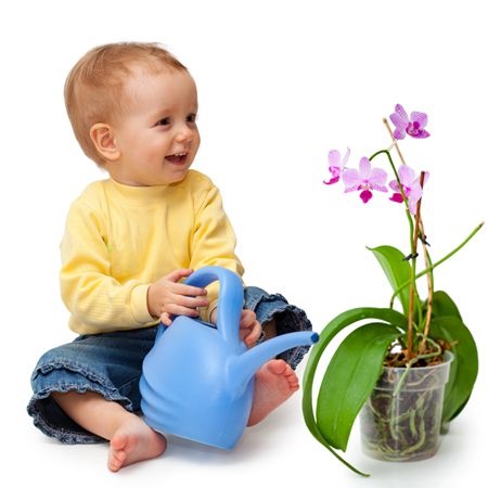 补抵抗力的红薯丸子  