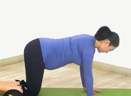 孕中期瑜伽视频：猫伸展式！