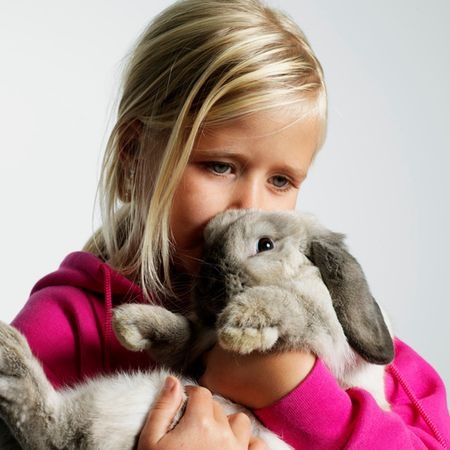 补抵抗力的红薯丸子  