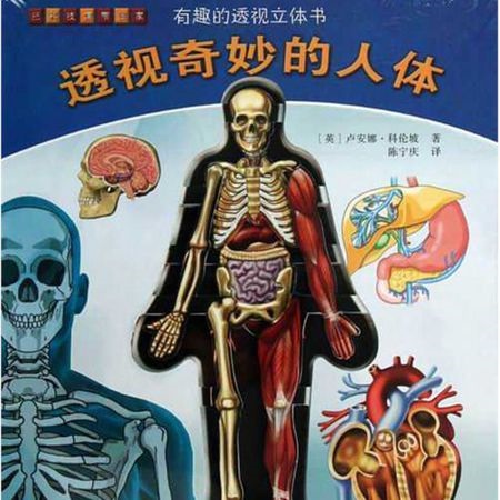 补抵抗力的红薯丸子  