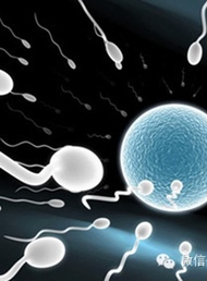 精子过多为何也会出现不育不孕？