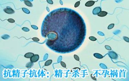 补抵抗力的红薯丸子  