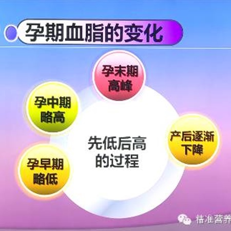 补抵抗力的红薯丸子  