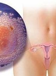 有排卵月经与无排卵月经的区别有哪些？