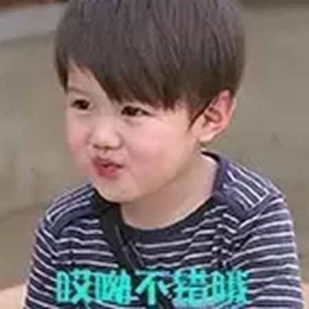 补抵抗力的红薯丸子  