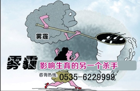 补抵抗力的红薯丸子  