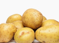 土豆含有的丰富营养孕期绝对需要！