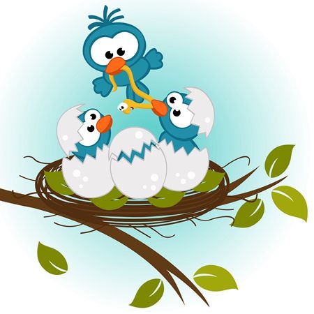 补抵抗力的红薯丸子  