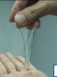 通过拉丝来找排卵日，好直观的！