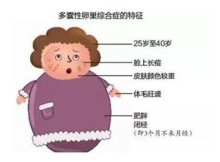 补抵抗力的红薯丸子  