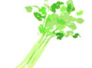 简笔画--画有益健康的绿叶蔬菜