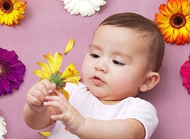 色彩有助提高宝宝的观察记忆力