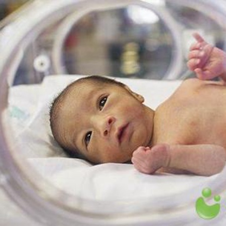 补抵抗力的红薯丸子  