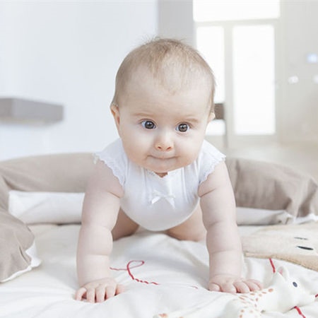 补抵抗力的红薯丸子  