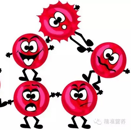 补抵抗力的红薯丸子  