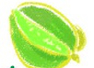 简笔画--画个绿色多汁的阳桃