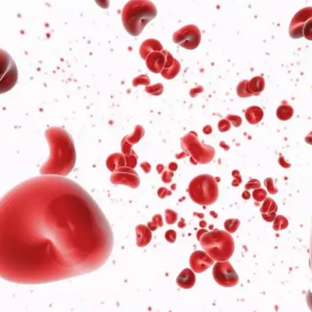 补抵抗力的红薯丸子  