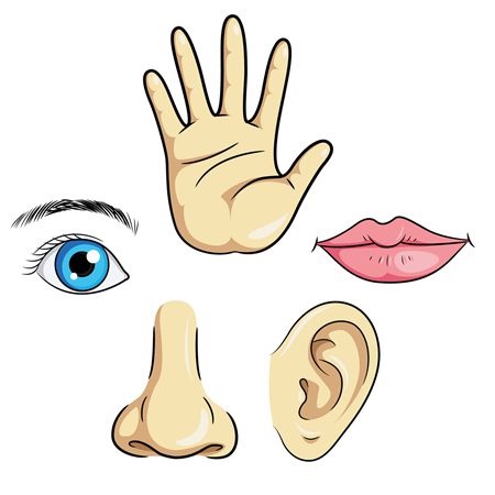 补抵抗力的红薯丸子  