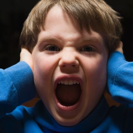 补抵抗力的红薯丸子  