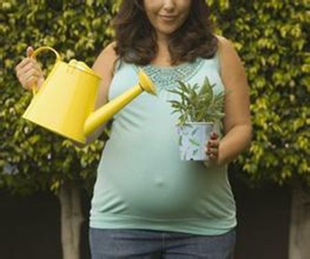 补抵抗力的红薯丸子  