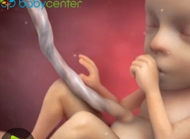 宝宝的神经系统和感官正在迅速发育！