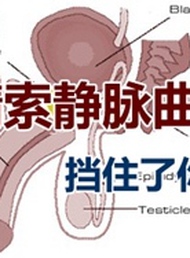 为什么男性精索静脉曲张也会影响生育？
