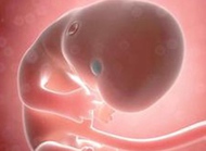 我们一起了解：受精的过程是怎样的？
