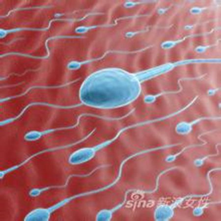 补抵抗力的红薯丸子  