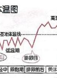 待孕妈妈找准排卵期，选取最好的怀孕时机