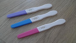 补抵抗力的红薯丸子  
