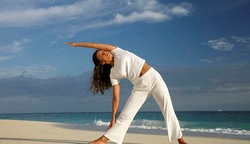 补抵抗力的红薯丸子  