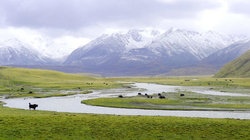 补抵抗力的红薯丸子  