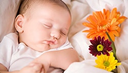 补抵抗力的红薯丸子  