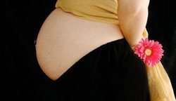 补抵抗力的红薯丸子  