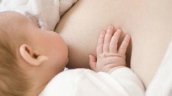 补抵抗力的红薯丸子  