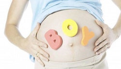 补抵抗力的红薯丸子  