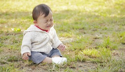 补抵抗力的红薯丸子  