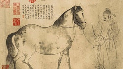 补抵抗力的红薯丸子  