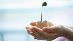 补抵抗力的红薯丸子  