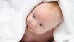 补抵抗力的红薯丸子  