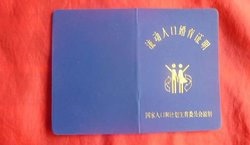 补抵抗力的红薯丸子  