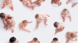 补抵抗力的红薯丸子  