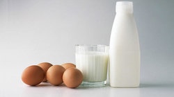 补抵抗力的红薯丸子  