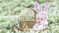 补抵抗力的红薯丸子  