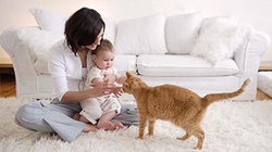 补抵抗力的红薯丸子  