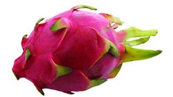 补抵抗力的红薯丸子  