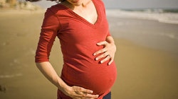 补抵抗力的红薯丸子  