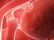 产前胎儿监测