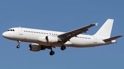 补抵抗力的红薯丸子  